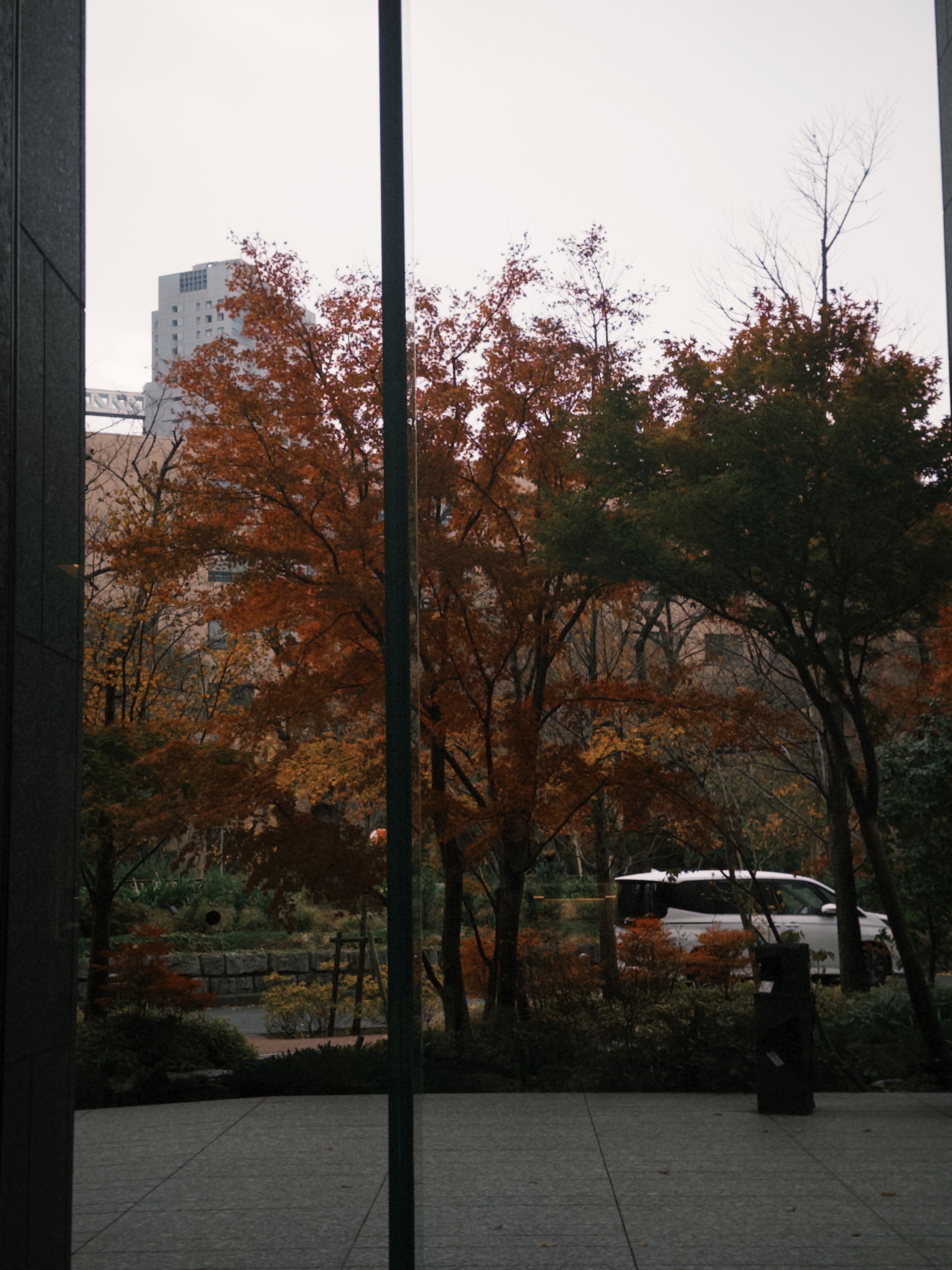 field notes vol.23